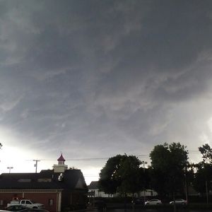 Meet your Posher, Buster