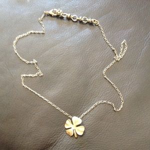Lucky necklace