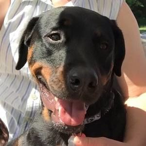 Meet your Posher, Karen scott