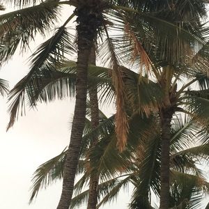 Meet your Posher, Li