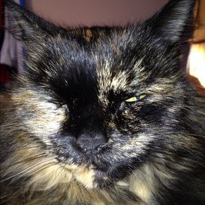 Meet your Posher, Leslie