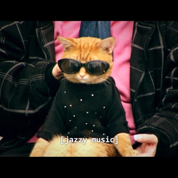 Meet your Posher, Laura