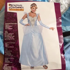 Cinderella costume