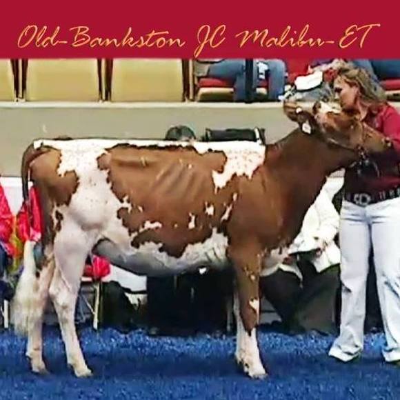 Meet your Posher, Michelle - Picture 1 of 1