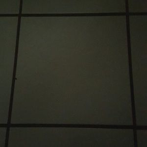 Meet your Posher, Patty