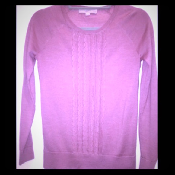 Ann Taylor Crew Neck Sweater