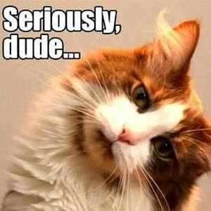 Meet your Posher, Rosangela