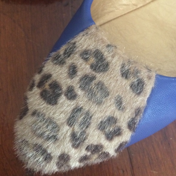 Flats - Picture 2 of 4
