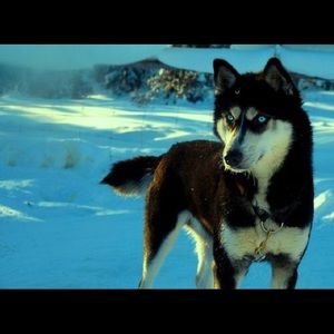 Meet your Posher, Lara