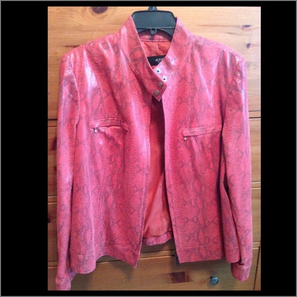 Gorgeous Alfani leather jacket 2x!
