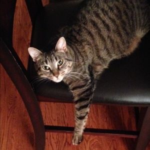 Meet your Posher, Rachel