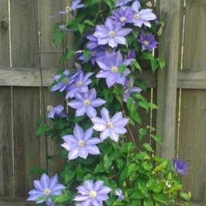 Meet your Posher, Katelyn