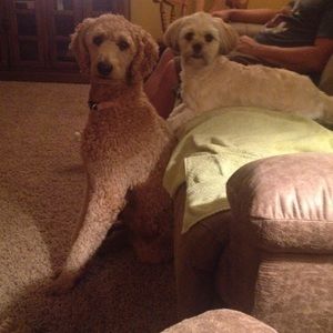 Meet your Posher, Jennifer