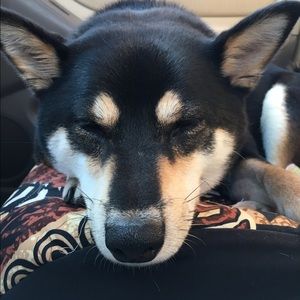 Meet your Posher, Christina