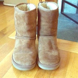 Short Chestnut Uggs