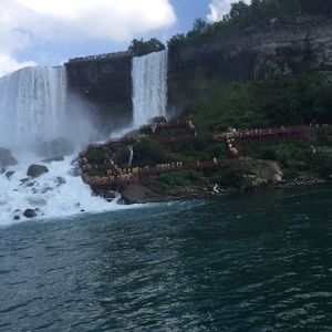 Meet your Posher, Tayler