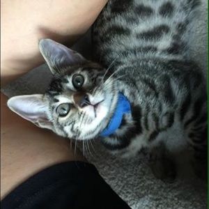 Meet your Posher, Abigail