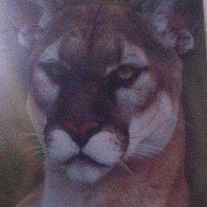 Meet your Posher, Molly