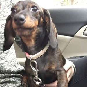 Meet your Posher, Jessica