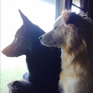 Meet your Posher, Kelli