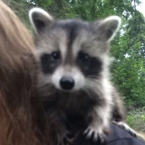 Meet your Posher, Abby