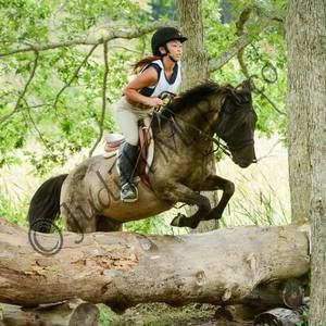 Meet your Posher, Lindsay