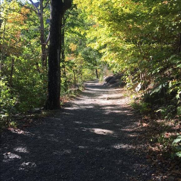 Meet your Posher, Sadie