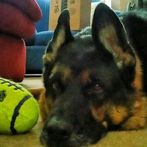 Meet your Posher, Desiree