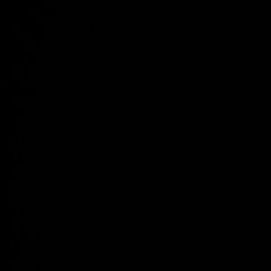 Meet your Posher, Delaney