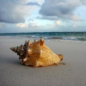 Meet your Posher, Jean