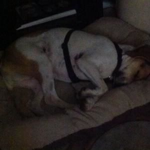 Meet your Posher, Celeste