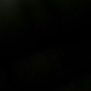 Meet your Posher, Cattarina