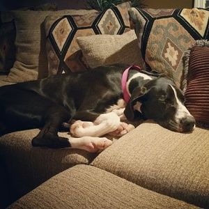 Meet your Posher, Tina