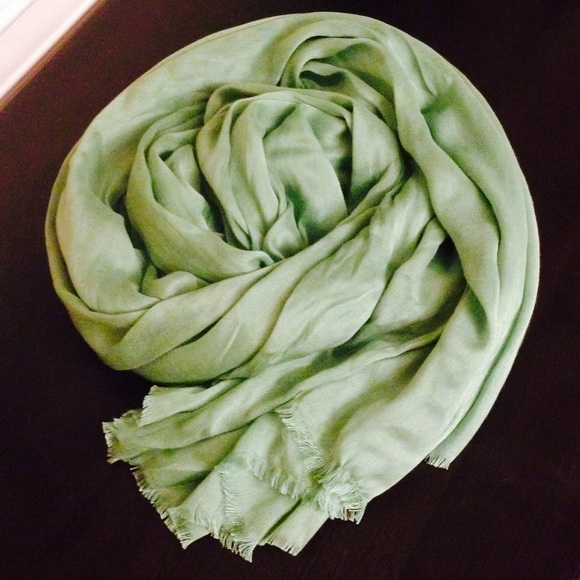 Anthropologie Accessories - 🌟 DIEGO BINETTI Sage Scarf & Wrap