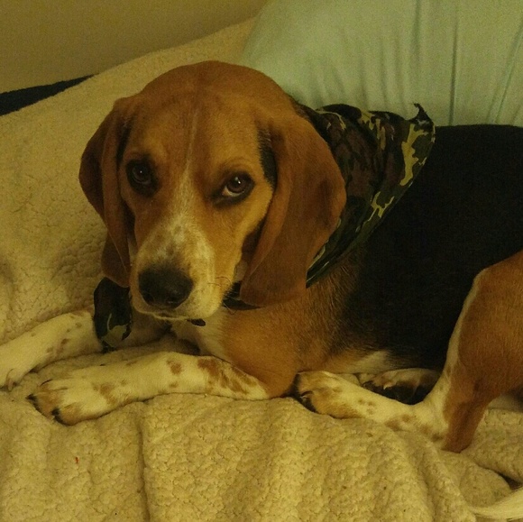 Hey Ladies! - Picture 4 of 7