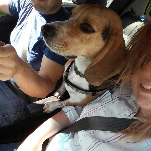 Hey Ladies! - Picture 6 of 7