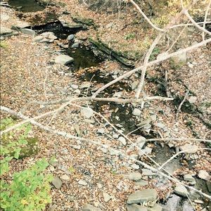 Meet your Posher, Hailey