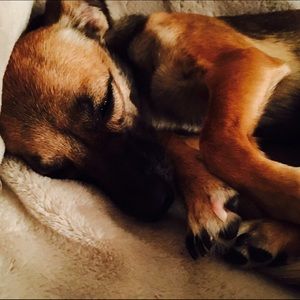 Meet your Posher, Brooke