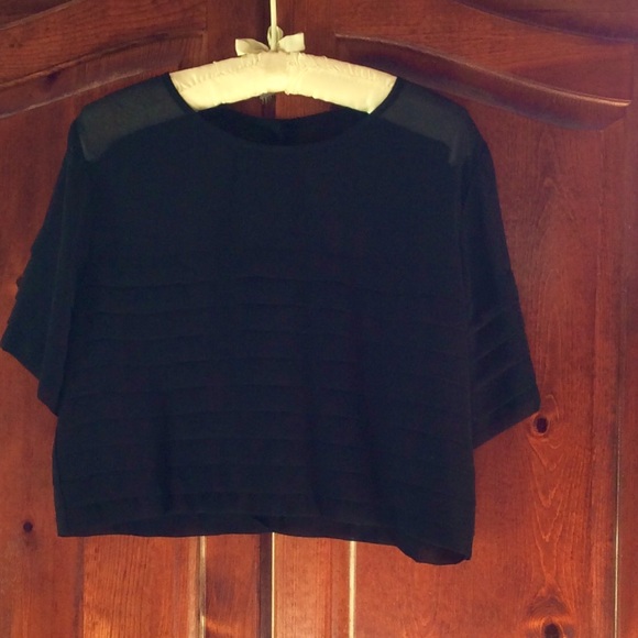 SEXY SHEER CROPPED SILKY TOP NWOT FINAL PRICE!