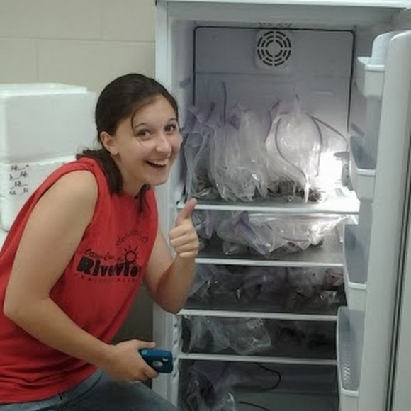Meet your Posher, Darian - Picture 1 of 1