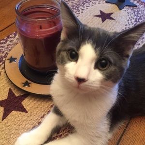 Meet your Posher, Bethany