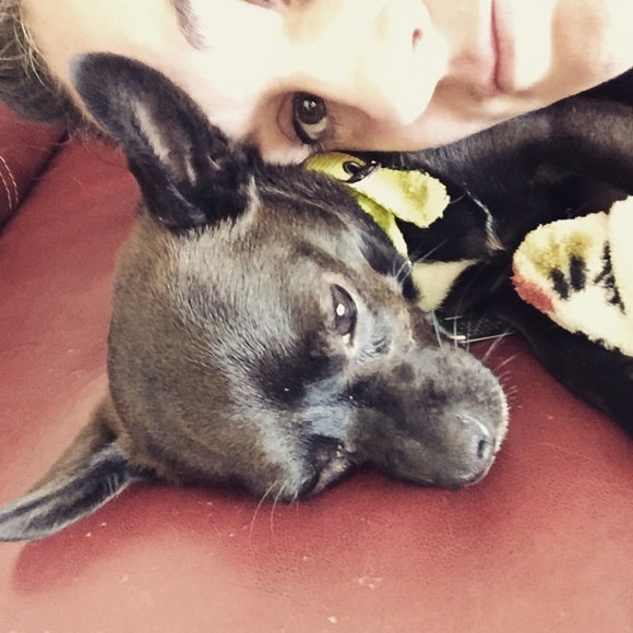 Meet your Posher, Charity