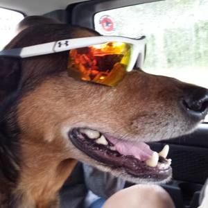 Meet your Posher, Janice