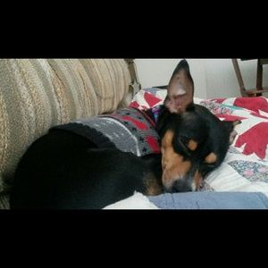 Meet your Posher, Katie