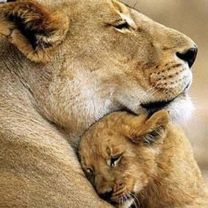 Meet your Posher, Julane