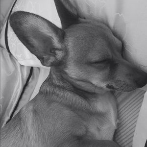 Meet your Posher, Jenny