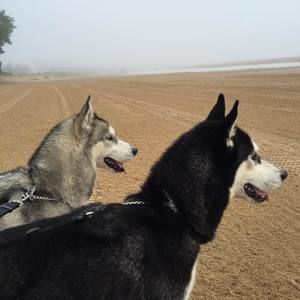 Meet your Posher, Charles