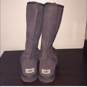 Tall Classic Uggs Chocolate Brown