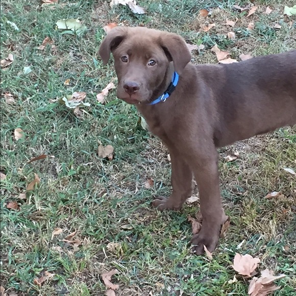 Meet your Posher, Steffie