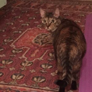 Meet your Posher, Sarah